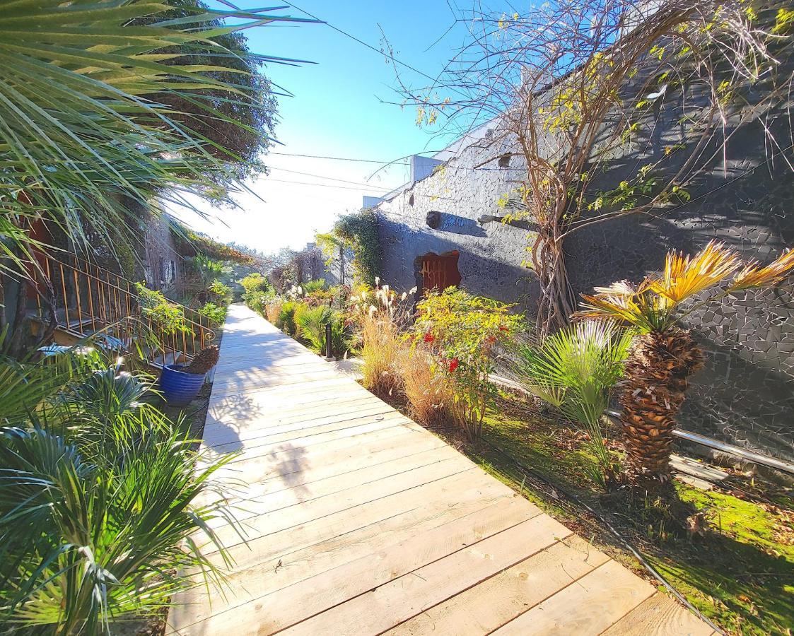Bandol - Residence Premium Jardin, Piscine Et Garage Eksteriør billede